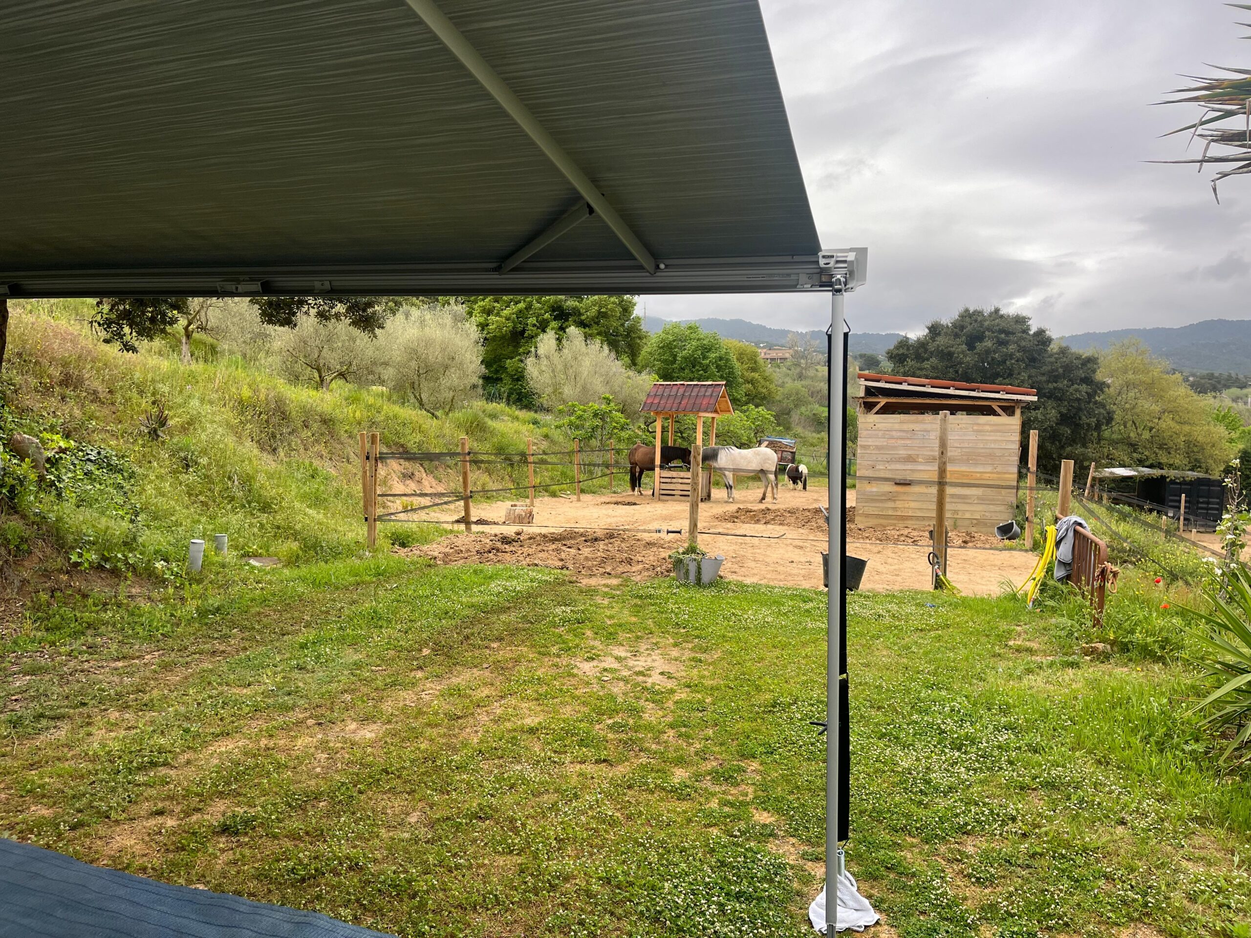 WhatsApp Image 2025-10-20 at 10.16.44 (4)